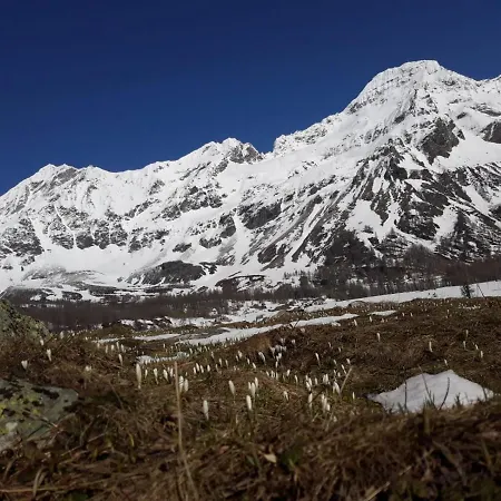 Appartement Il Melo *