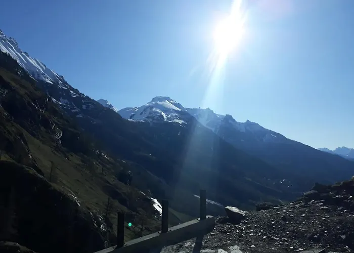 Il Melo *